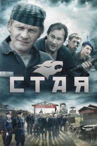 Стая (1 сезон)