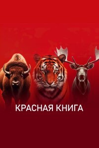 Красная книга (1 сезон)